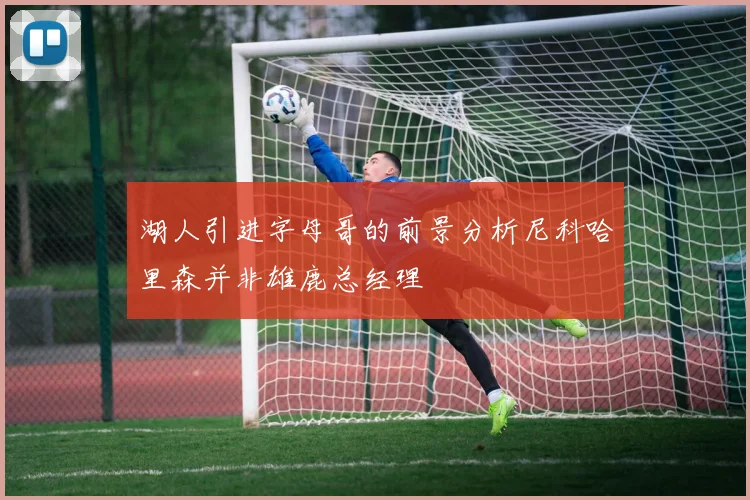 湖人引进字母哥的前景分析尼科哈里森并非雄鹿总经理